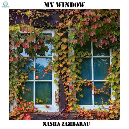 My window