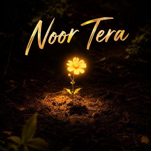 Noor Tera