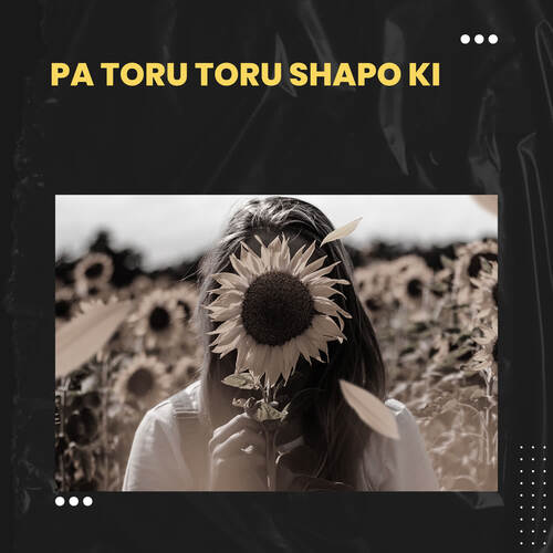 Pa Toru Toru shapo ki