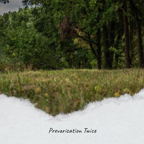 Lin Torch cover art