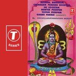 Rudram, Namakam, Chamakam Purusha Sooktam, Sai Sooktam Mantra Pushpam Yopam Pushpam Ghana Pasana