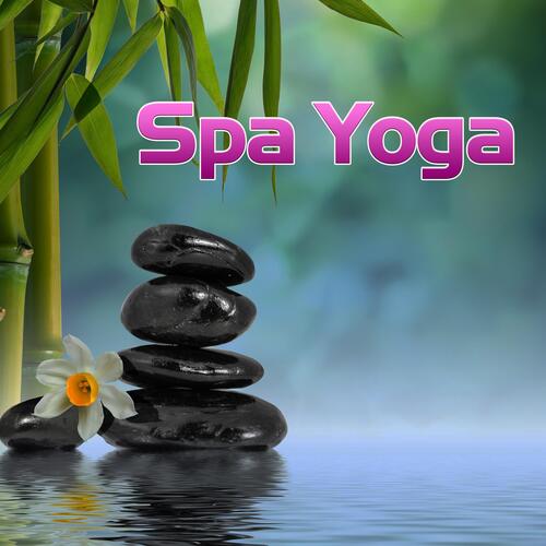 Spa Music Removes All Negative Energy