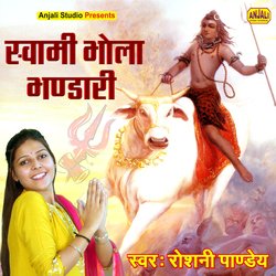 Swami Bhola Bhandari (Shiv Bhajan)