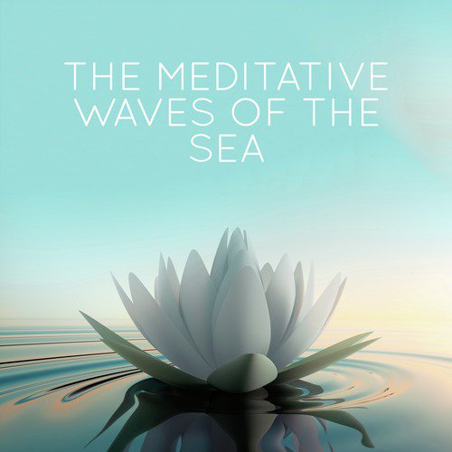 The Meditative Waves of the Sea_poster_image