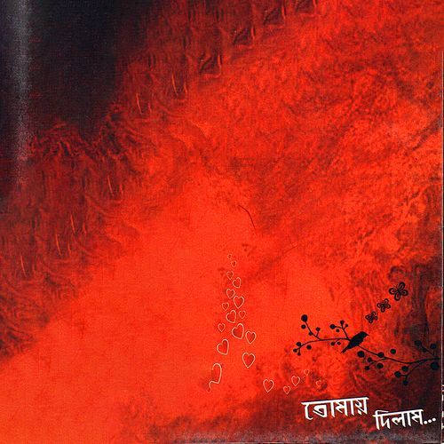 Tomay Dilam
