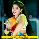 Tu Meri Jaan Hain