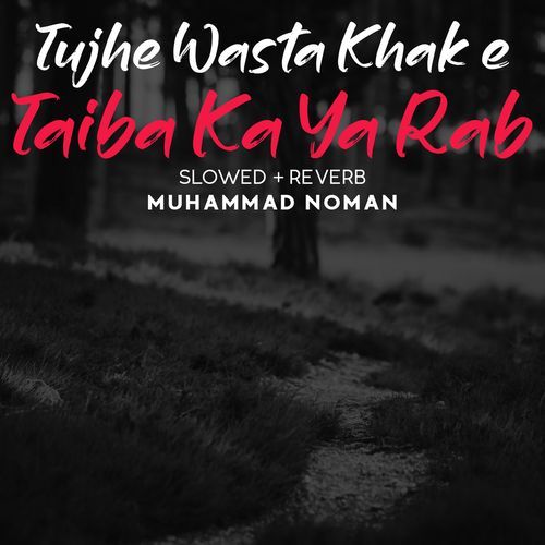 Tujhe Wasta Khak E Taiba Ka Ya Rab Lofi
