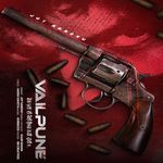 VAILPUNE