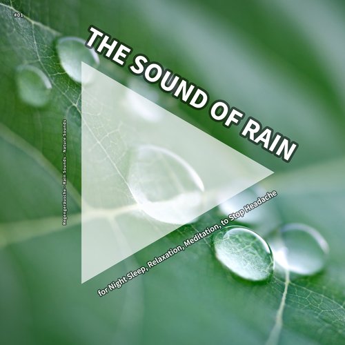 Placid Rain Sound FX cover art