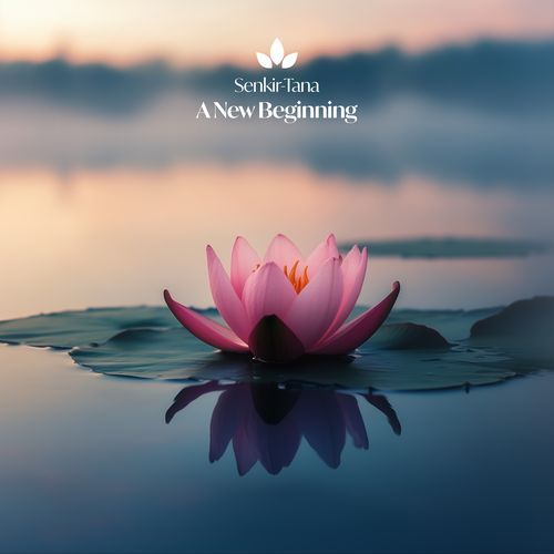 A New Beginning