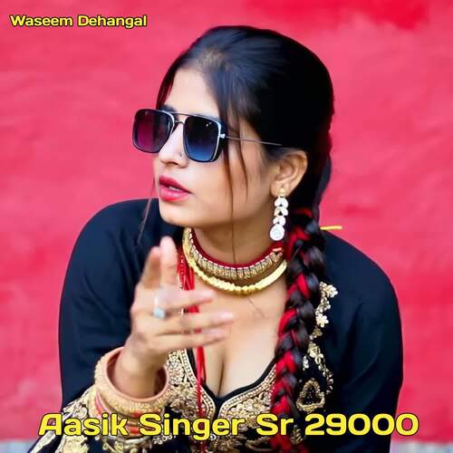 Aasik Singer Sr 29000