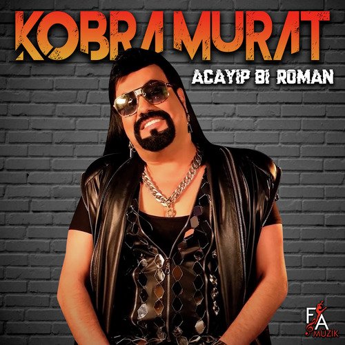 Acayip Bi Roman