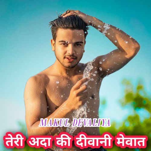 तेरी अदा की दीवानी मेवात