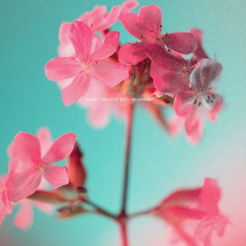 Blurred cover art