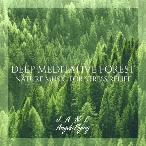 Jungle ASMR Sounds cover art