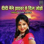 Didi Maine Driver Se Dil Jodo