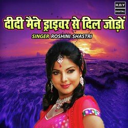 Didi Maine Driver Se Dil Jodo