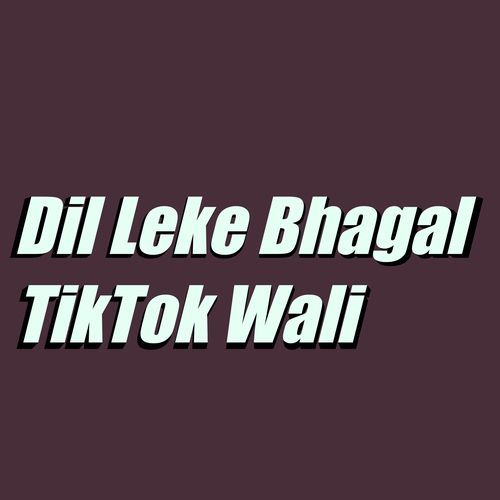 Dil Leke Bhagal Tik Tok Wali