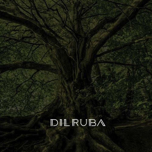 Dilruba