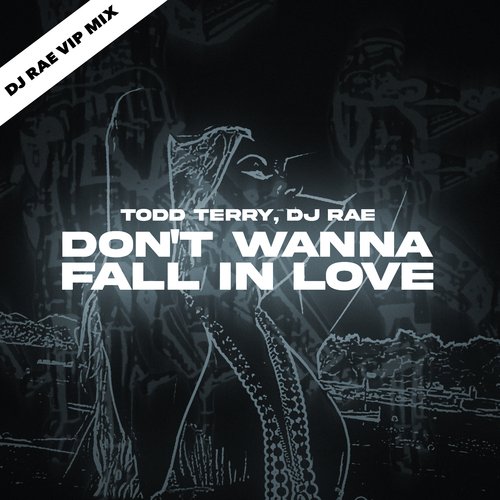 Don't Wanna Fall In Love (DJ Rae VIP Edit)