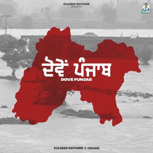 Dove Punjab