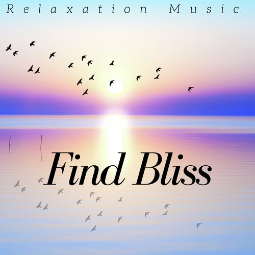 Find Bliss: Relaxation Music, Meditation, Yoga, Concentration, Massage Music