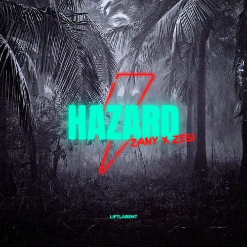 Hazard