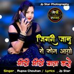 Jigari Janu Ro Phone Aayo Mithi Mithi Bata Karo