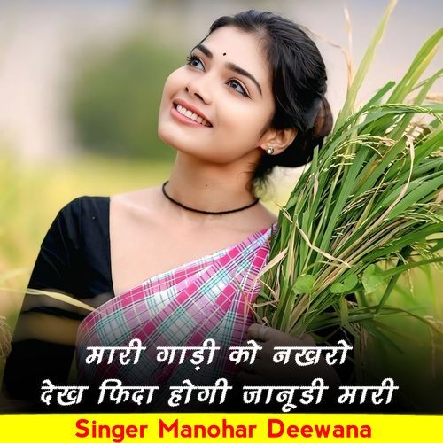 Mari Gadi Ko Nakaro Dekha Fida Hogi Janudi Mari
