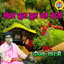 Mohan JhooLa Jhool Chale Jaiyo
