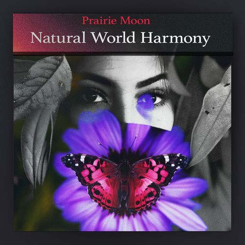 Binaural Nature Tone cover art