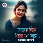 Premer Bishe Dhorchego Jare (Slowed+Reverb)