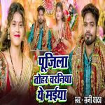 Pujila Tohar Charaniya Ye Maiya