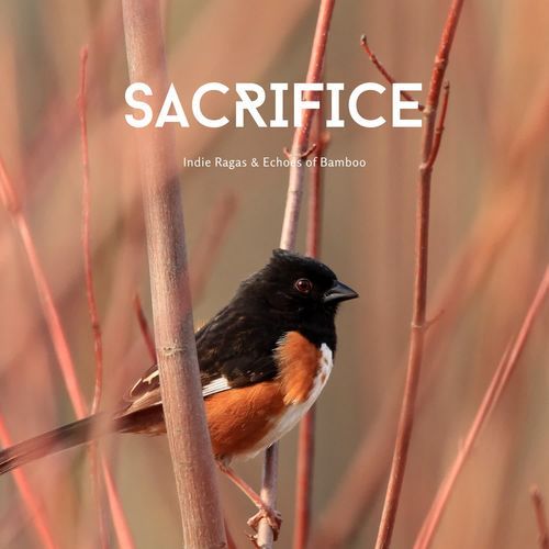 Sacrifice