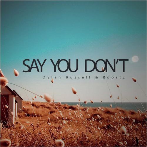 Say You Don't_poster_image