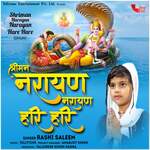 Shriman Narayn Narayan Hare Hare (Dhun)