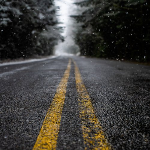 Sleepy Melodies | Rainforest Rainshower