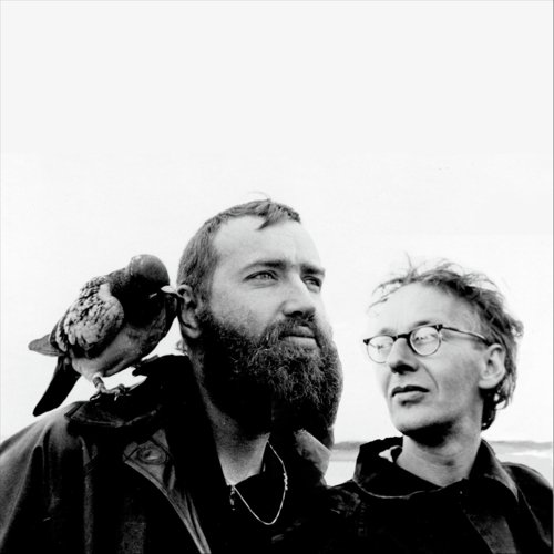 Stories from the Pigeon