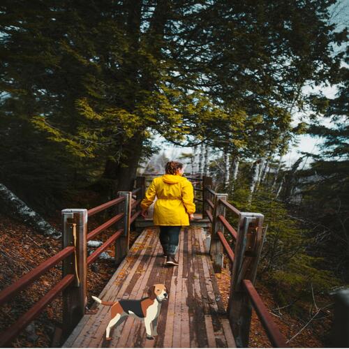 Take A Walk