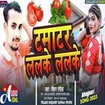 Tamatar Lalake Lalake