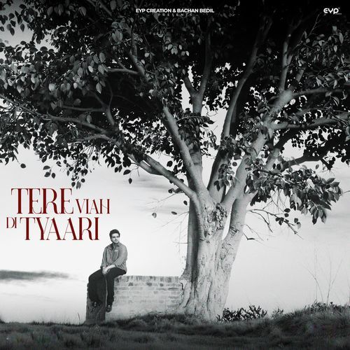Tere Viah Di Tyaari cover art