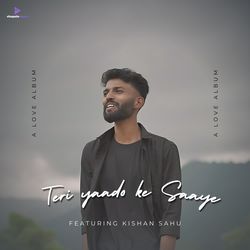 Teri Yaado Ke Saaye-Lws4aUFSaFA