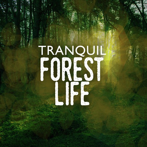 Tranquil Forest Life