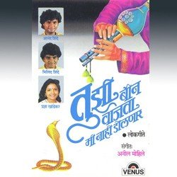 Tujhi Been Vajata-QgRcekRKdko