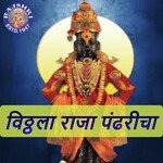 Vithala Raja Pandharicha
