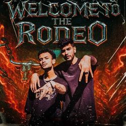 Welcome to the rodeo