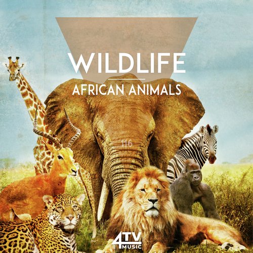 Kudu cover art