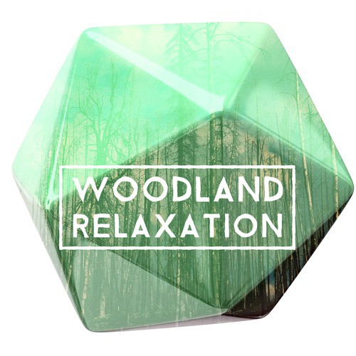 Woodland Relaxation