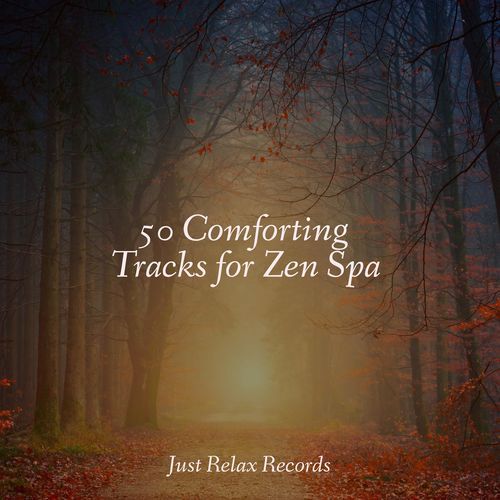 50 Comforting Tracks for Zen Spa_poster_image