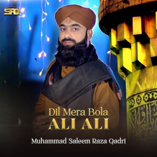 Dil Mera Bola Ali Ali